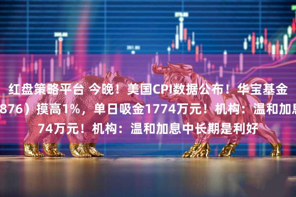 红盘策略平台 今晚！美国CPI数据公布！华宝基金有色ETF（159876）摸高1%，单日吸金1774万元！机构：温和加息中长期是利好