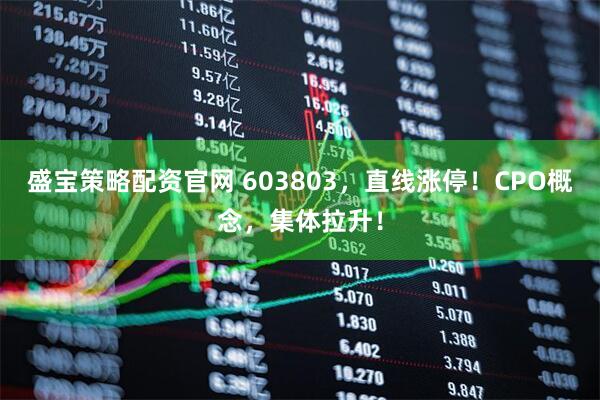 盛宝策略配资官网 603803，直线涨停！CPO概念，集体拉升！